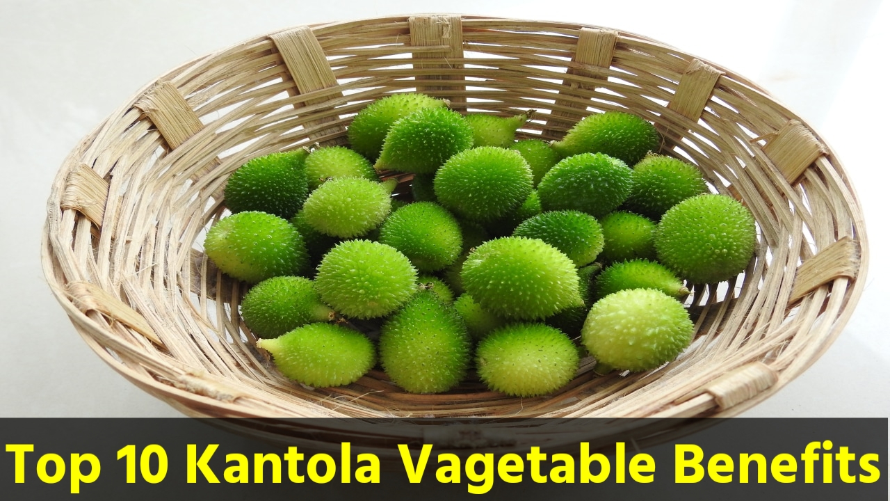 Top 10 Kantola vegetable benefits ! How to recipe kantola?